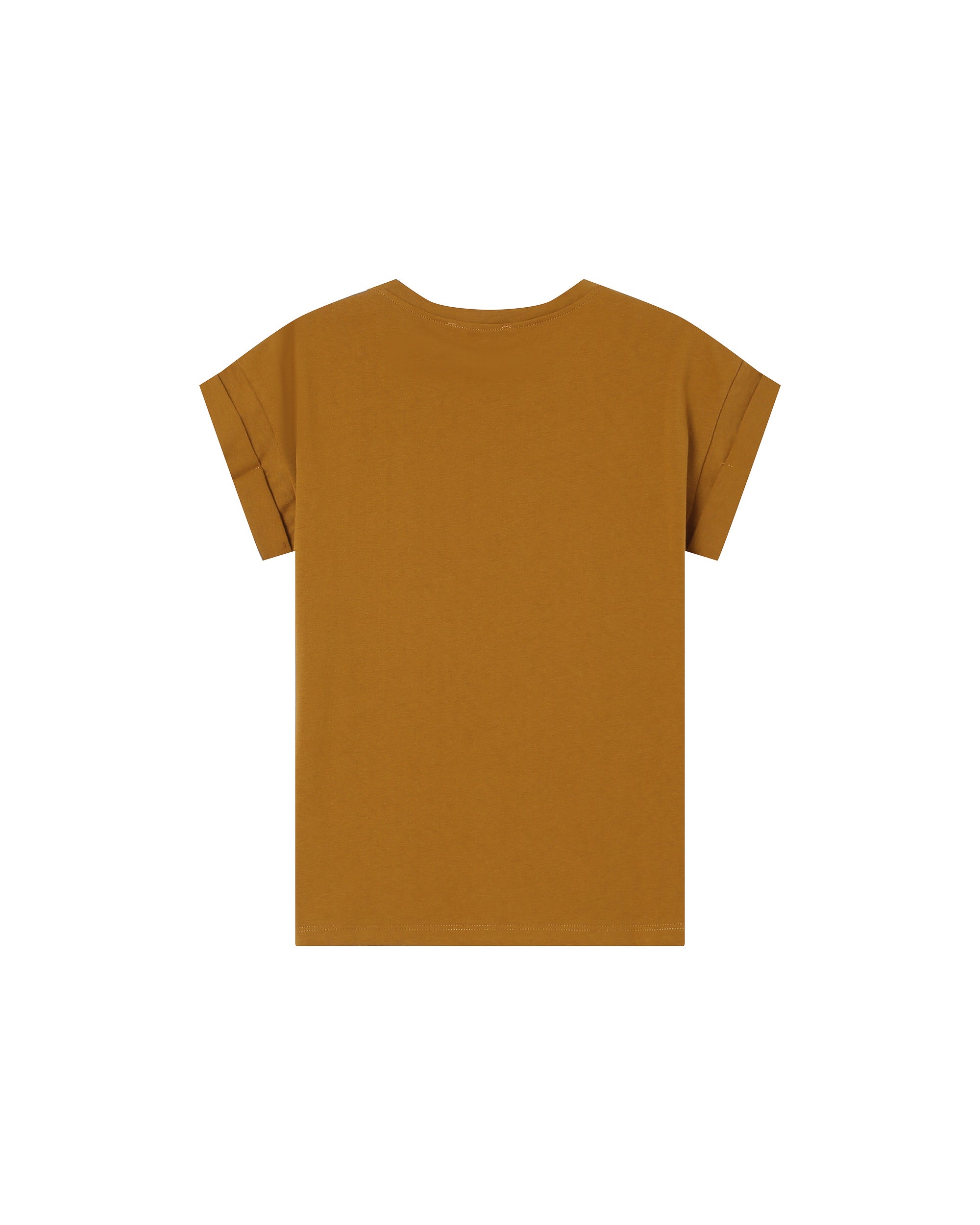Graphic t-shirt ocher Sorentino