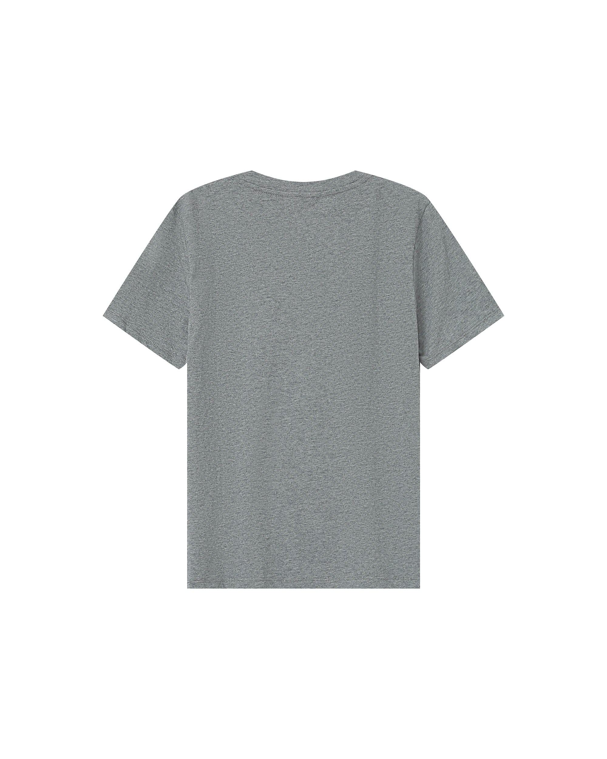 Graphic t-shirt gray Samory