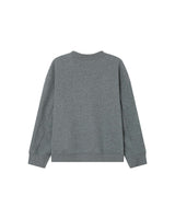 Embroidered graphic sweater gray Sharly